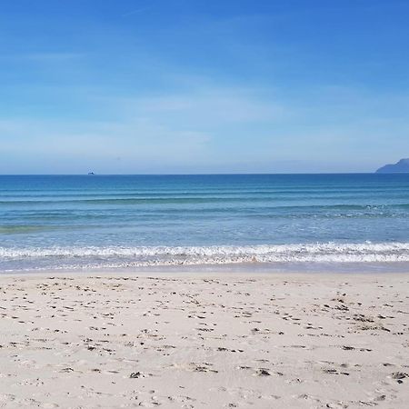 Ideal Property Mallorca - Delicias Алкудия Екстериор снимка